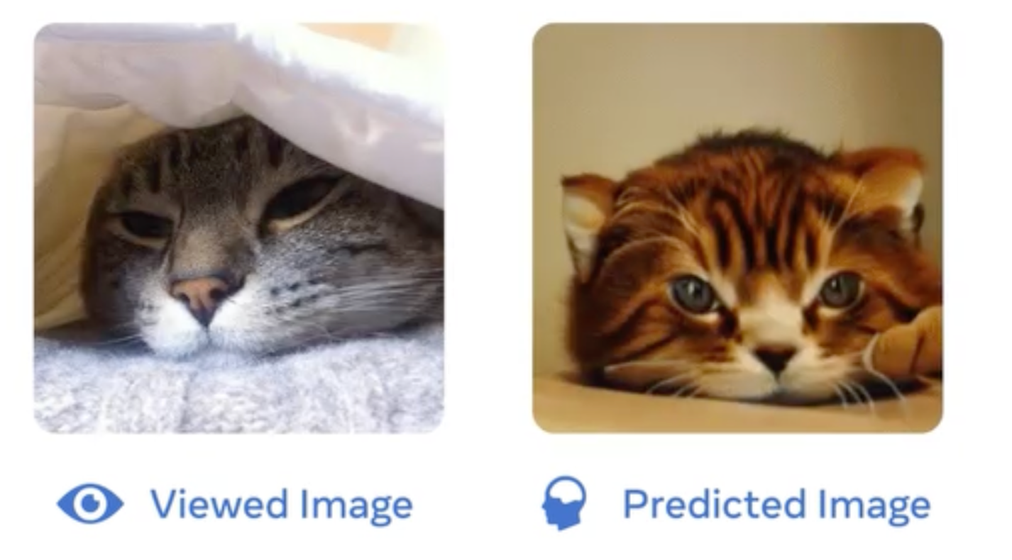 Meta AI Research white paper, “Toward a real-time decoding of images from brain activity”