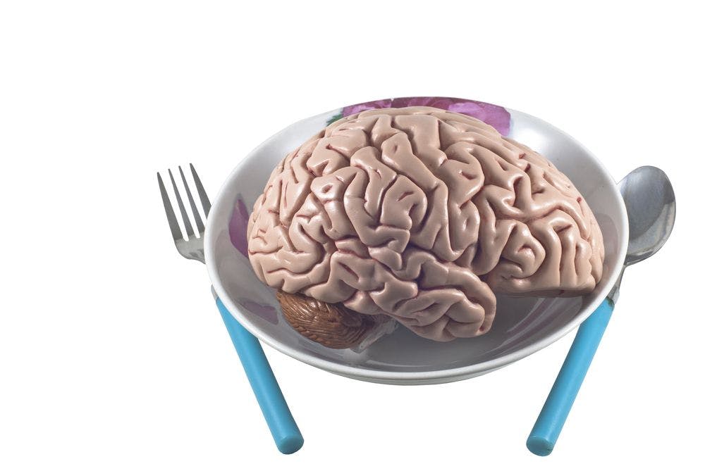 Cannibalism and the Resistant Brain