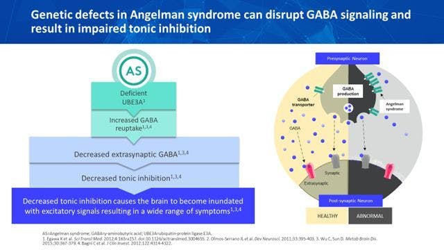 genetic defects, GABA signaling
