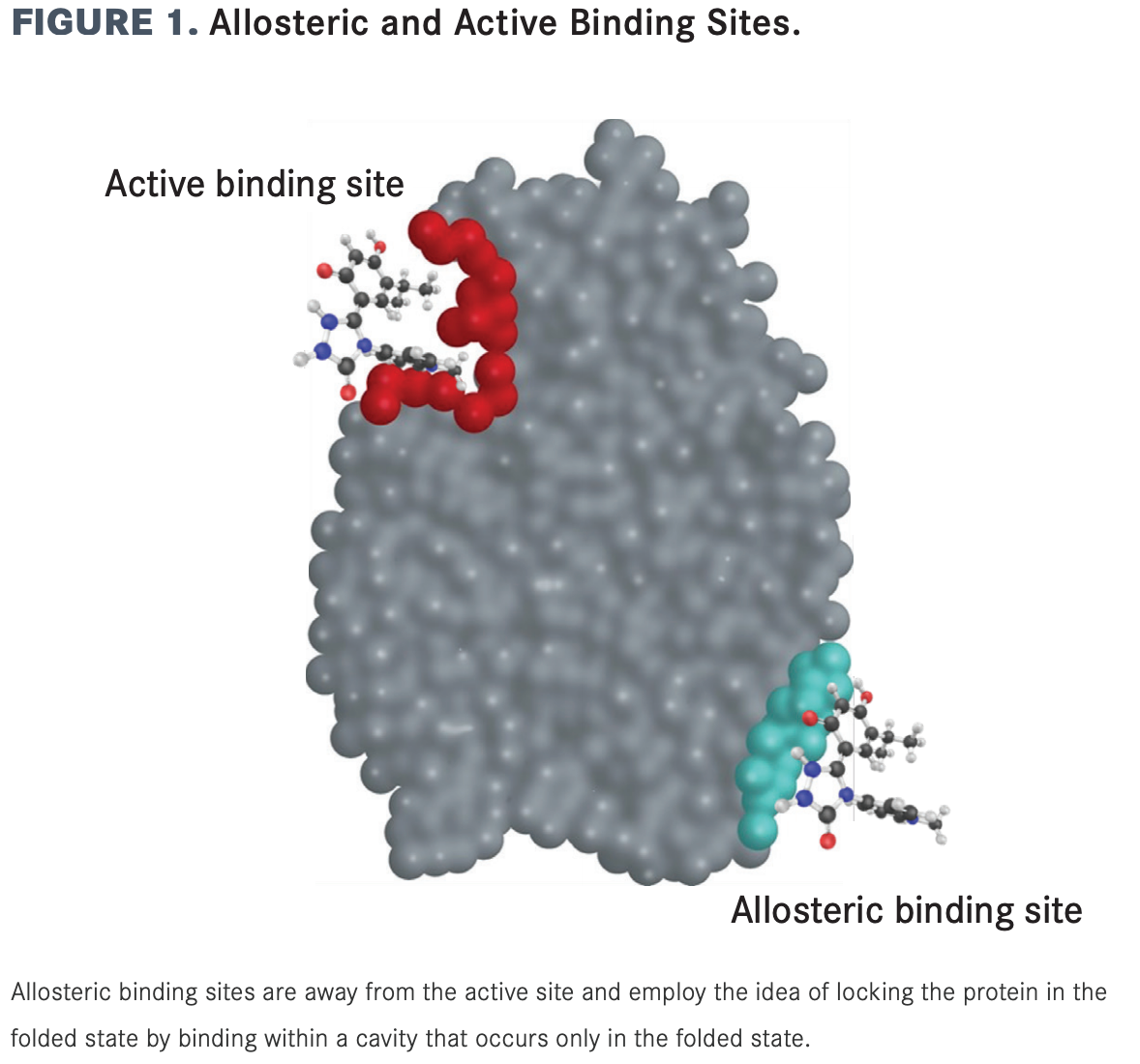 FIGURE 1. Allosteric and Active Binding Sites. (Click to enlarge)