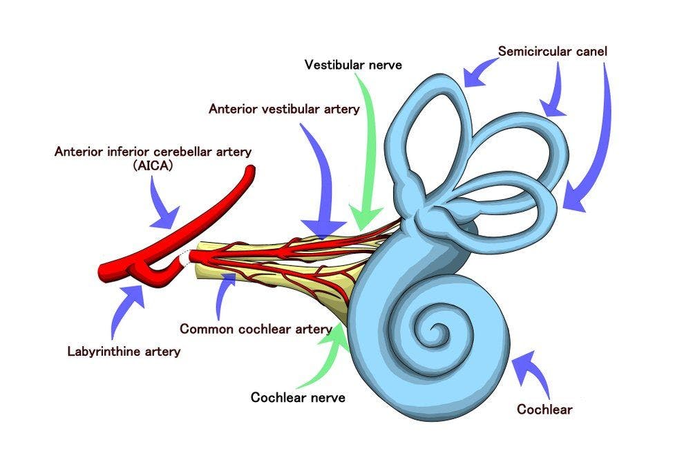 inner ear vertigo